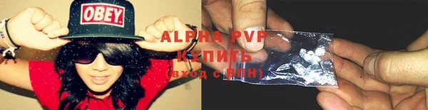 винт Алексин